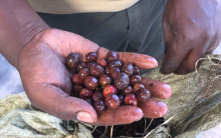 What's in the Roaster's Choice Box - January 2020