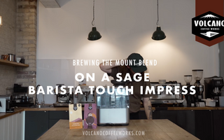 How to Brew on a Sage Touch Impress
