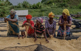 What Is the Difference Between Natural and Washed Coffee?