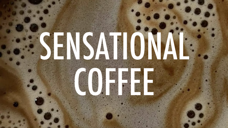 Great Tasting Coffees