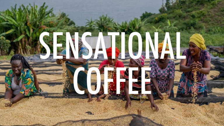 The Coffee